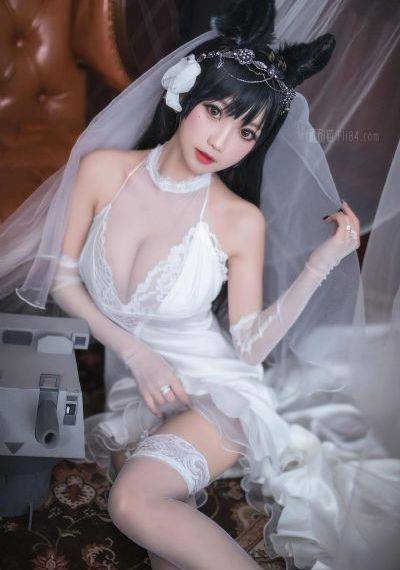 白夜追凶免费观看电视剧完整版