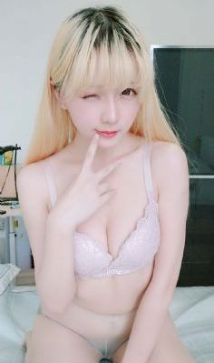 茶杯狐 cupfox 茶杯狐