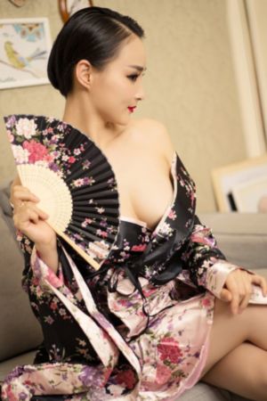 情满四合院多少集