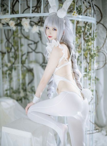 美女免费视频观看