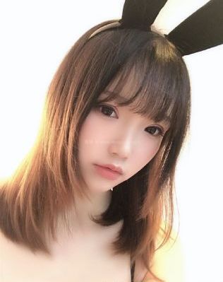 警花与警犬 电视剧