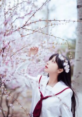 危机迷雾